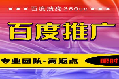 百度竞价广告与自然搜索排名的结合策略案例