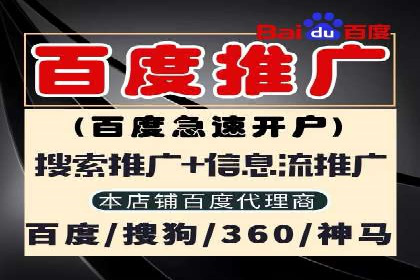 SEM公司成功案例解读：如何打造高效的广告团队